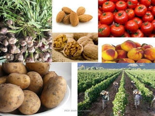 PROF. MARY SUASNÁBAR
 