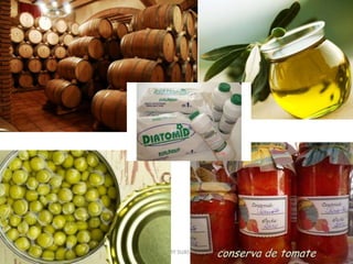 PROF. MARY SUASNÁBAR
 