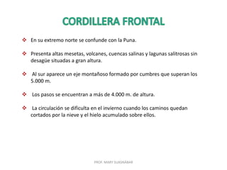 PROF. MARY SUASNÁBAR
 En su extremo norte se confunde con la Puna.
 Presenta altas mesetas, volcanes, cuencas salinas y lagunas salitrosas sin
desagüe situadas a gran altura.
 Al sur aparece un eje montañoso formado por cumbres que superan los
5.000 m.
 Los pasos se encuentran a más de 4.000 m. de altura.
 La circulación se dificulta en el invierno cuando los caminos quedan
cortados por la nieve y el hielo acumulado sobre ellos.
 