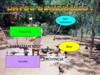 • POBLACION TOTAL:
Amazonica
645
habitantes
ECOREGION
• DEPARTAMENTO
YACUMA
Beni
PROVINCIA