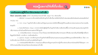 แนวคิดและทฤษฎีที่เกี่ยวกบัส่วนประสมการค้าปลีก
ภัทธภร พลพนาธรรม (2549) กล่าวว่า ส่วนประสมการตลาดค้าปลีก (Retail Mix) ประกอบด้วย
1. ผลิตภัณฑ์ (Product)การบริหารผลิตภัณฑ์สําหรับธุรกิจค้าปลีกเป็นการตัดสินใจเกี่ยวกับประเภทของผลิตภัณฑ์และส่วนประสมผลิตภัณฑ์
(Product mix)
2. ราคา (Price) ในธุรกิจค้าปลีกราคามีความสําคัญอย่างมากต่อการตัดสินใจซื้อของผู้บริโภคและมีบทบาทต่อความสามารถในการแข่งขัน
ของธุรกิจ
3. ช่องทางจัดจําหน่าย (Place) การกระจายสินค้าสู่มือผู้บริโภคในธุรกิจค้าปลีกการเลือกทําเลที่ตั้งการกําหนดลักษณะของประเภทธุรกิจค้า
ปลีกการออกแบบร้านค้าและสิ่งอํานวยความสะดวกให้กับลูกค้า
4. การส่งเสริมการตลาด (Promotion) ด้านการโฆษณาประชาสัมพันธ์ส่งเสริมการขายและการใช้พนักงานขายเป็นเครื่องมือที่ผู้ขายสื่อสาร
ข้อมูลเกี่ยวกับสินค้า การบริการ ภาพลักษณ์ของร้าน
5. บุคลากร (People) การบริหารบุคลากรในธุรกิจค้าปลีกทั้งในส่วนความสามารถและคุณสมบัติส่วนบุคคลเพื่อทําหน้าที่ต่างๆ ได้แก่ การ
ขายด้วยพนักงานการให้บริการการสร้างความสัมพันธ์กับลูกค้า
6. การนําเสนอสินค้าหรือบริการ (Presentation)ที่สามารถดึงดูดความสนใจจากผู้บริโภคประกอบด้วยการนําเสนอสินค้าให้สะดุดตา การ
ทํากิจกรรมส่งเสริมการขายองค์ประกอบส่วนประสมการค้าปลีก
 