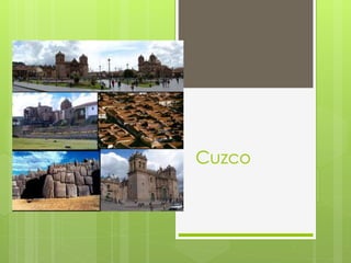 Cuzco 
 