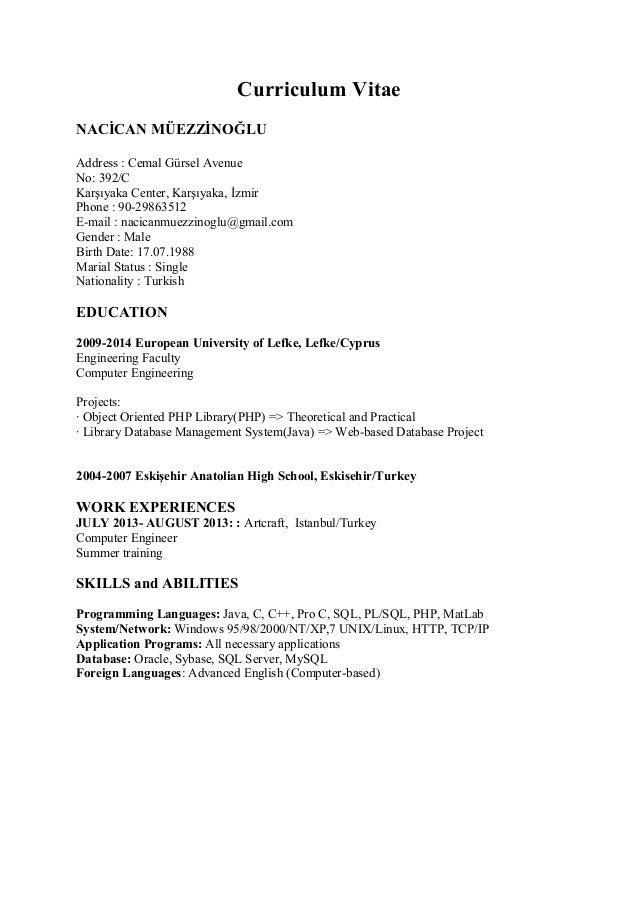 2 curriculum vitae