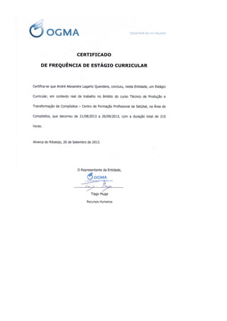 Cv   andré quendera 01