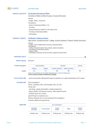 CV Burca Vlad | PDF