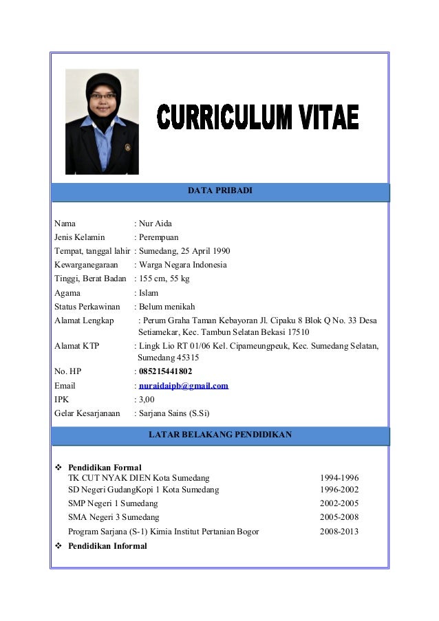 Cv Nur Aida
