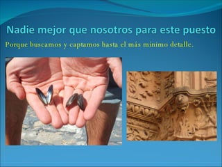 Porque buscamos y captamos hasta el más mínimo detalle. 