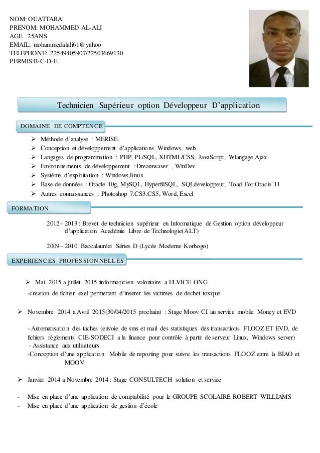 cv 1 cv for an engineer
