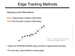 Edge Tracking Methods
Adjusting a priori Boundaries:
Given: Approximate Location of Boundary
Task: Find Accurate Location of Boundary
• Search for STRONG EDGES along normals to approximate boundary.
• Fit curve (eg., polynomials) to strong edges.
 