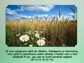 El cere aşteptarea plină de răbdare, înţelegerea şi milostivirea,
 care ajută la dezvoltarea acelei seminţe a binelui care a fost
      semănată în noi, aşa cum ne arată parabola neghinei
                      (Mt 13,24-30.36-43).
 