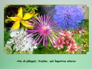 «Nu vă plângeţi, fraţilor, unii împotriva altora»
 