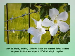 Cum să trăim, atunci, Cuvântul vieţii din această lună? Acesta
    ne pune în faţa unui aspect dificil al vieţii creştine.
 