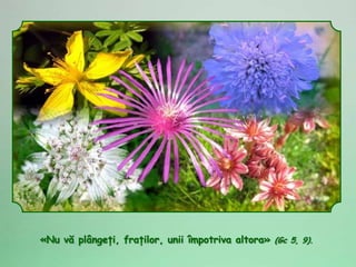 «Nu vă plângeţi, fraţilor, unii împotriva altora» (Gc 5, 9).
 