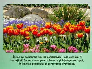 În loc să murmurăm sau să condamnăm – aşa cum am fi
tentaţi să facem – vom pune toleranţa şi înţelegerea; apoi,
       în limitele posibilului şi corectarea frăţească;
 