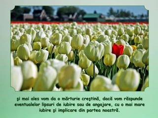 şi mai ales vom da o mărturie creştină, dacă vom răspunde
eventualelor lipsuri de iubire sau de angajare, cu o mai mare
            iubire şi implicare din partea noastră.
 