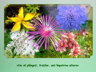 «Nu vă plângeţi, fraţilor, unii împotriva altora»
 