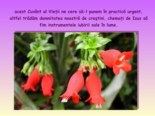 acest Cuvânt al Vieţii ne cere să-l punem în practică urgent,
altfel trădăm demnitatea noastră de creştini, chemaţi de Isus să
fim instrumentele iubirii sale în lume.

 