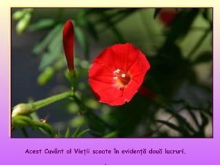 Acest Cuvânt al Vieţii scoate în evidenţă două lucruri.
.

 