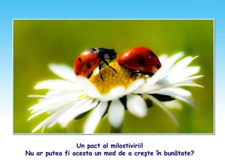 Un pact al milostivirii!
Nu ar putea fi acesta un mod de a creşte în bunătate?
 