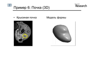 Пример 6: Почка (3D)

• Крысиная почка   Модель формы




• 18 примеров
 