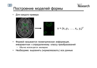 Построение моделей формы
•   Для каждого примера




                                        x = (x1,y1, … , xn, yn)T



•   Формой называется геометрическая информация,
    инвариантная к определенному классу преобразований
    •   Обычно используется евклидово
•   Необходимо выровнять (нормализовать) все данные
 