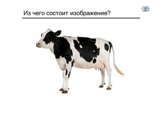 Из чего состоит изображение?
 