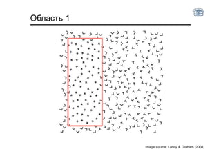 Область 1
Image source: Landy & Graham (2004)
 