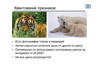 Квантование признаков
• Есть фотографии тигров и медведей
• Хотим научиться отличать одни от других по цвету
• Оптимально ли использовать гистограмму цветов на
интервале от [0,255]?
• Не все цвета встречаются!
 