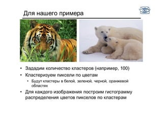 Для нашего примера
• Зададим количество кластеров (например, 100)
• Кластеризуем пиксели по цветам
• Будут кластеры в белой, зеленой, черной, оранжевой
областях
• Для каждого изображения построим гистограмму
распределения цветов пикселов по кластерам
 