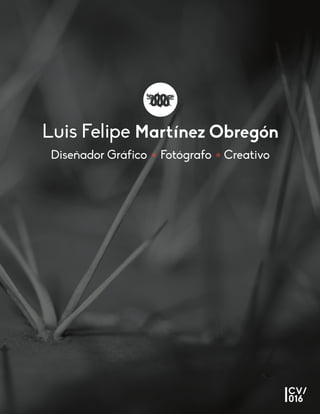 CreativoDiseñador Gráfico Fotógrafo
Luis Felipe Martínez Obregón
CV/
016
 