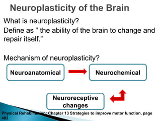 What is neuroplasticity?
Define as “ the ability of the brain to change and
repair itself.”
Mechanism of neuroplasticity?
Neuroanatomical Neurochemical
Neuroreceptive
changes
Physical Rehabilitation: Chapter 13 Strategies to improve motor function, page
483
 