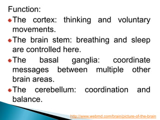 Function:
The cortex: thinking and voluntary
movements.
The brain stem: breathing and sleep
are controlled here.
The basal ganglia: coordinate
messages between multiple other
brain areas.
The cerebellum: coordination and
balance.
http://www.webmd.com/brain/picture-of-the-brain
 