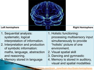 Left hemisphere Right Hemisphere
1. Sequential analysis:
systematic, logical
interpretation of information.
2. Interpretation and production
of symbolic information:
maths, language, abstraction
and reasoning.
3. Memory stored in language
format.
1. Holistic functioning:
processing multisensory input
simultaneously to provide
“holistic’ picture of one
environment.
2. Visual spatial skill
3. Dancing and gymnastic
4. Memory is stored in auditory,
visual and spatial modalities
http://www.thethinkingbusiness.com/brain_zone/brain-tour/brain-hemispheres
 
