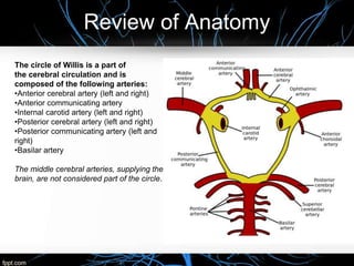 Review of Anatomy
The circle of Willis is a part of
the cerebral circulation and is
composed of the following arteries:
•Anterior cerebral artery (left and right)
•Anterior communicating artery
•Internal carotid artery (left and right)
•Posterior cerebral artery (left and right)
•Posterior communicating artery (left and
right)
•Basilar artery
The middle cerebral arteries, supplying the
brain, are not considered part of the circle.
 