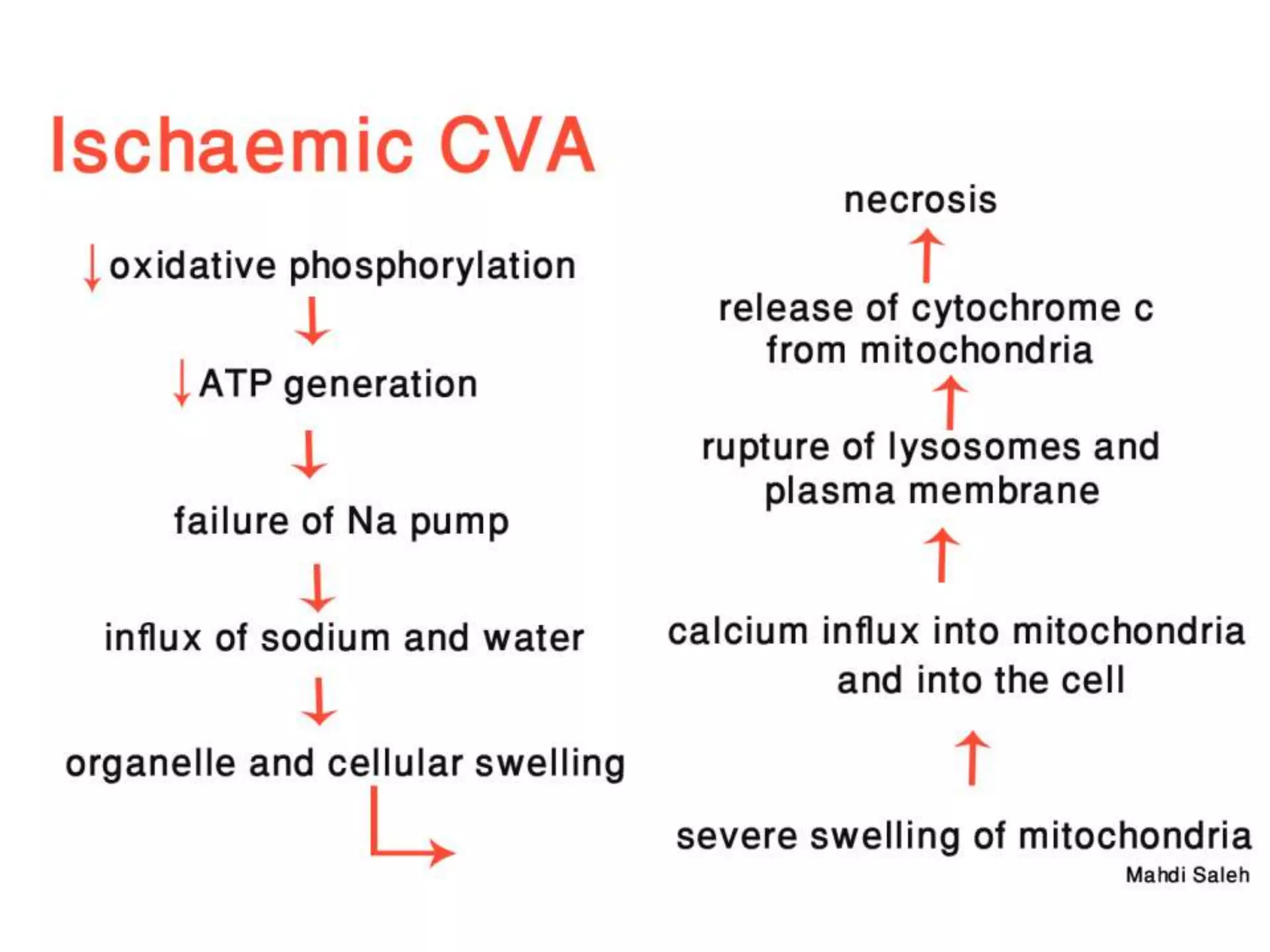 cerebrovascular accident pathophysiology | PPTX