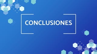 CONCLUSIONES
 