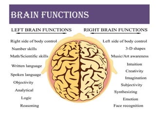 Brain functions
 