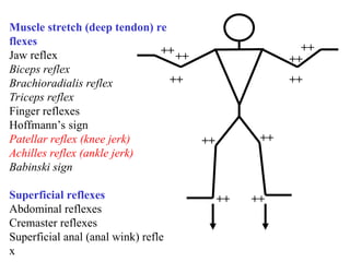 Comprehensive Neurologic Examination: Mental Status, Cranial Nerves ...