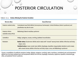 POSTERIOR CIRCULATION
 