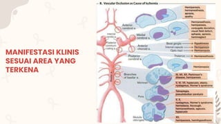 MANIFESTASI KLINIS
SESUAI AREA YANG
TERKENA
 