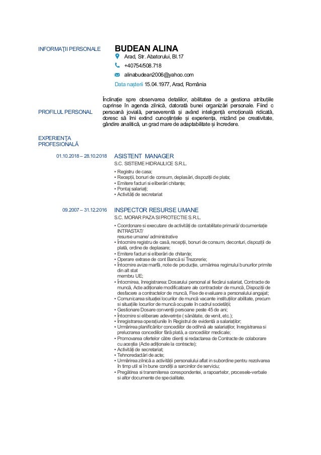 Cv Alina Budean