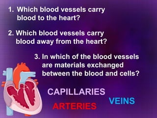[object Object],2. Which blood vessels carry  blood away from the heart? 3. In which of the blood vessels  are materials exchanged  between the blood and cells? VEINS ARTERIES CAPILLARIES 