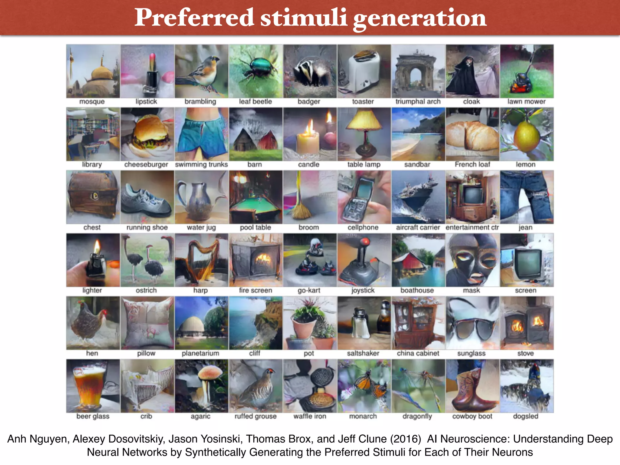 Preferred stimuli generation
Anh Nguyen, Alexey Dosovitskiy, Jason Yosinski, Thomas Brox, and Jeff Clune (2016) AI Neuroscience: Understanding Deep
Neural Networks by Synthetically Generating the Preferred Stimuli for Each of Their Neurons
 