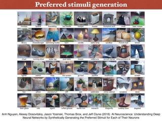 Preferred stimuli generation
Anh Nguyen, Alexey Dosovitskiy, Jason Yosinski, Thomas Brox, and Jeff Clune (2016) AI Neuroscience: Understanding Deep
Neural Networks by Synthetically Generating the Preferred Stimuli for Each of Their Neurons
 