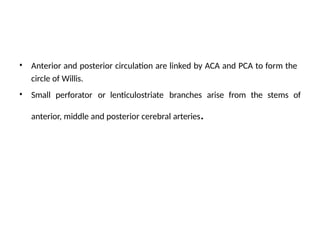 • Anterior and posterior circulation are linked by ACA and PCA to form the
circle of Willis.
Small perforator or lenticulostriate branches arise from the stems of
anterior, middle and posterior cerebral arteries.
•
 
