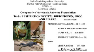 Stella Maris Polytechnic University
Mother Patern College of Health Sciences
UN Drive
Monrovia, Liberia
Comparative Vertebrate Anatomy Presentation
Topic: RESPIRATION SYSTEM; BIRD/ PIGEON, FROG
AND LIZARD. GROUP Five (5)
MEMBERS: GIFTEE J. ROUMI-----ID #: 10453
BERNICE NYENPAN ---- ID#: 10557
AGNES P. BIATY ---- ID#: 10420
IMOLEAYO V. ODUWOLE ----- ID#:
10430
JESSE N. KODAH ------ID#: 10539
Pierre-yve C. Outland--------ID#10425
February. 3, 2023
 
