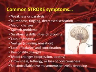 Common STROKE symptoms…
Weakness or paralysis
Numbness, tingling, decreased sensation
Vision changes
Speech problems
Swallowing difficulties or drooling
Loss of memory
Vertigo (spinning sensation)
Loss of balance and coordination
Personality changes
Mood changes (depression, apathy)
Drowsiness, lethargy, or loss of consciousness
Uncontrollable eye movements or eyelid drooping

 
