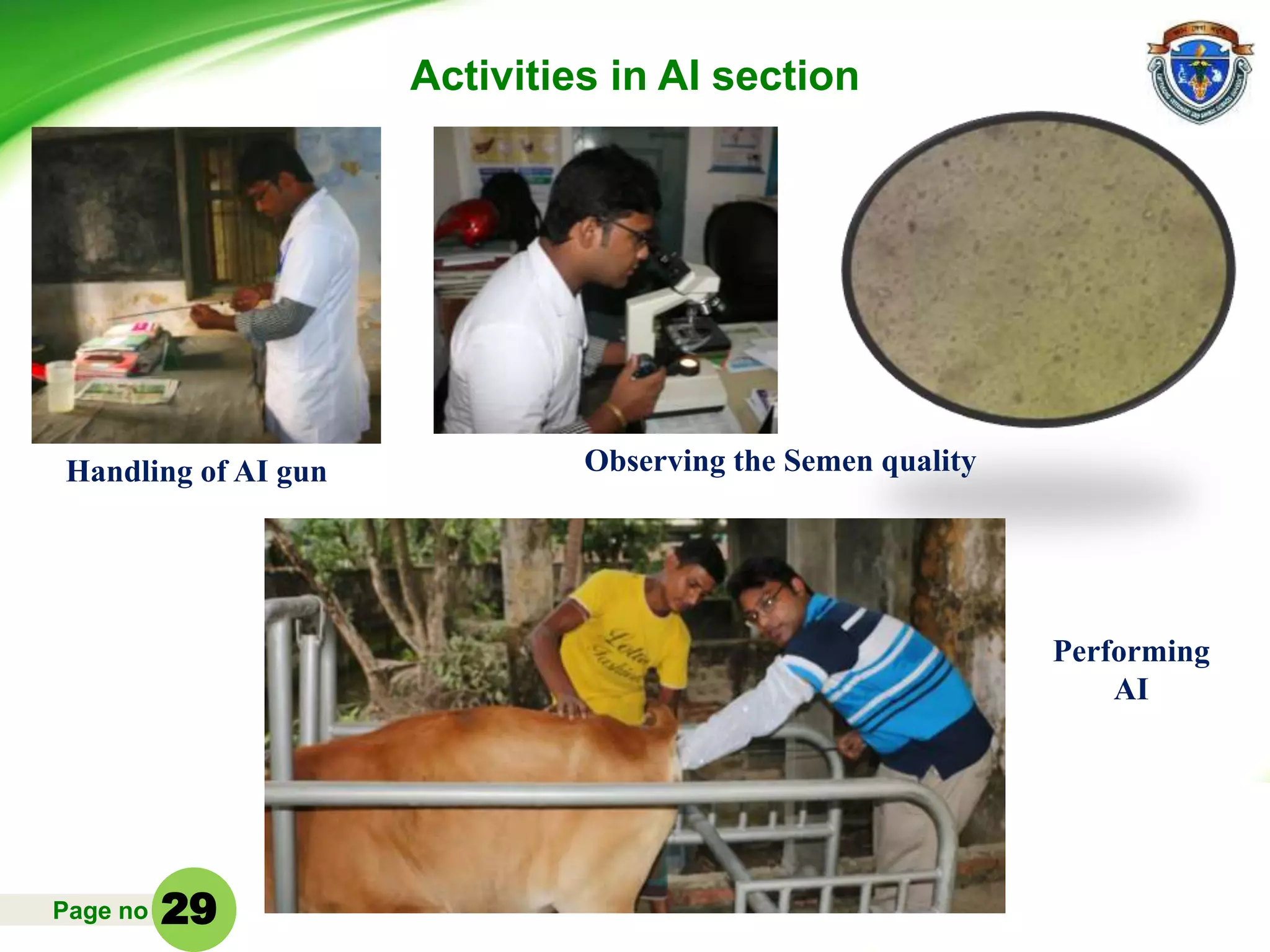 Page no
Activities in AI section
Handling of AI gun Observing the Semen quality
Performing
AI
29
 