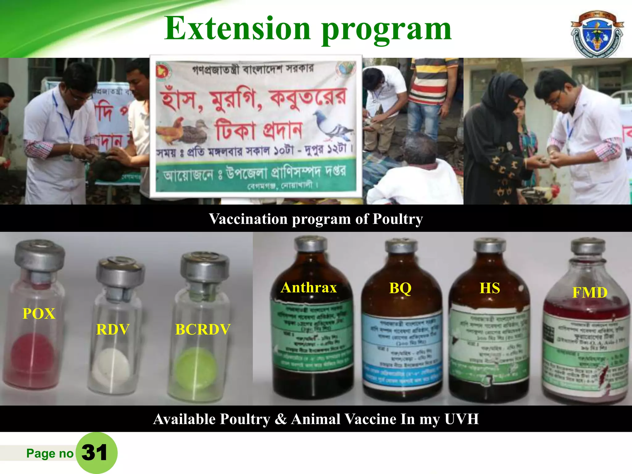 Page no
Extension program
Available Poultry & Animal Vaccine In my UVH
31
Vaccination program of Poultry
POX
BCRDVRDV
Anthrax BQ HS FMD
 