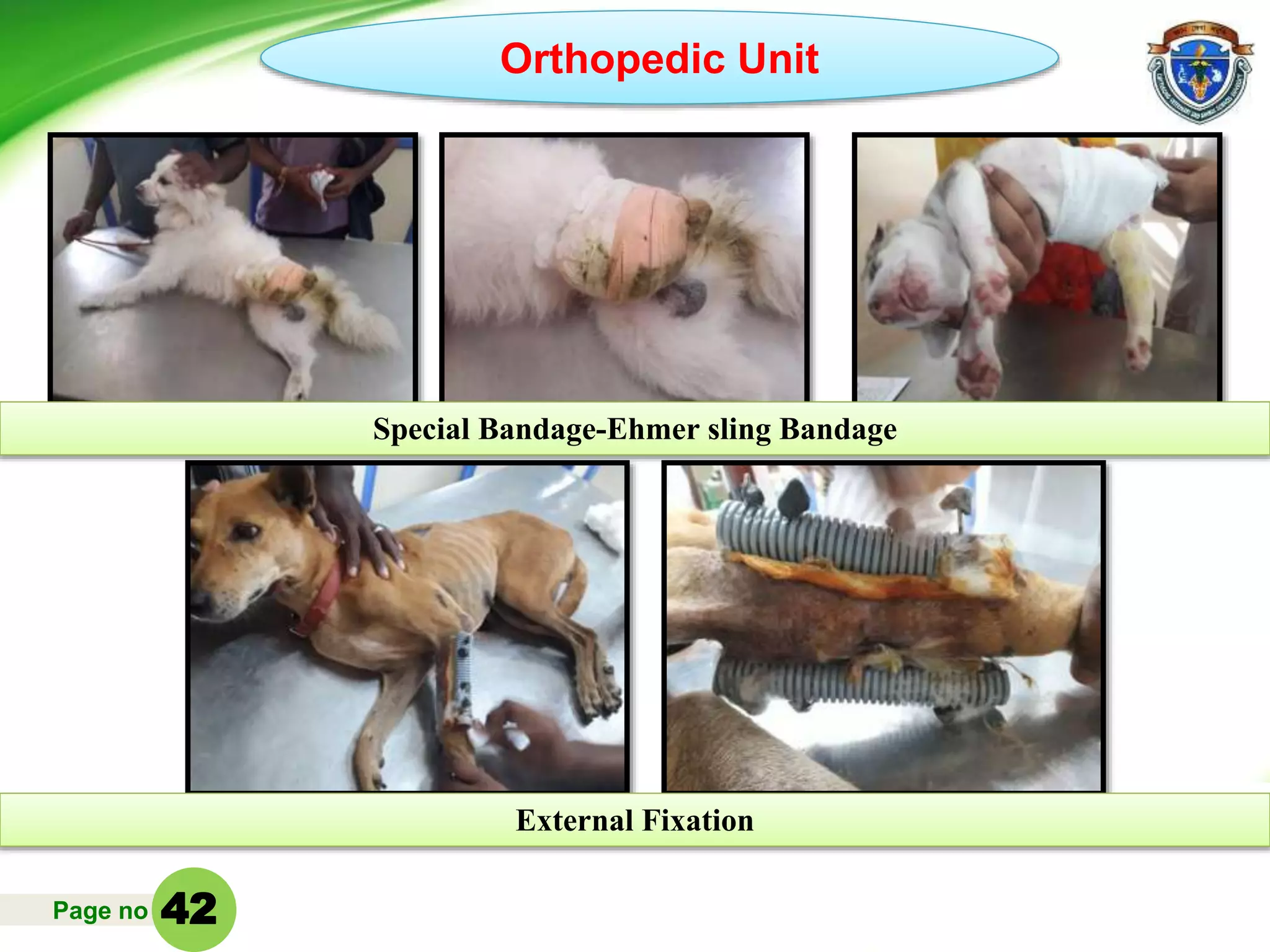 Page no
Orthopedic Unit
Special Bandage-Ehmer sling Bandage
External Fixation
42
 